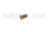 SS7090620-TP SCREW